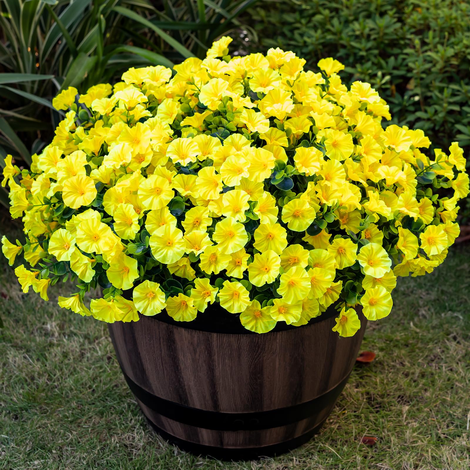 Nigirior 16-bundle yellow morning glory for outdoor porches—maintenance-free color