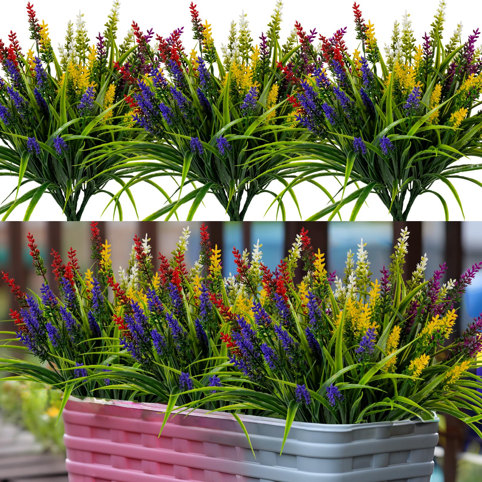 Nigirior lavender outdoor flowers for veranda decor and year-round color