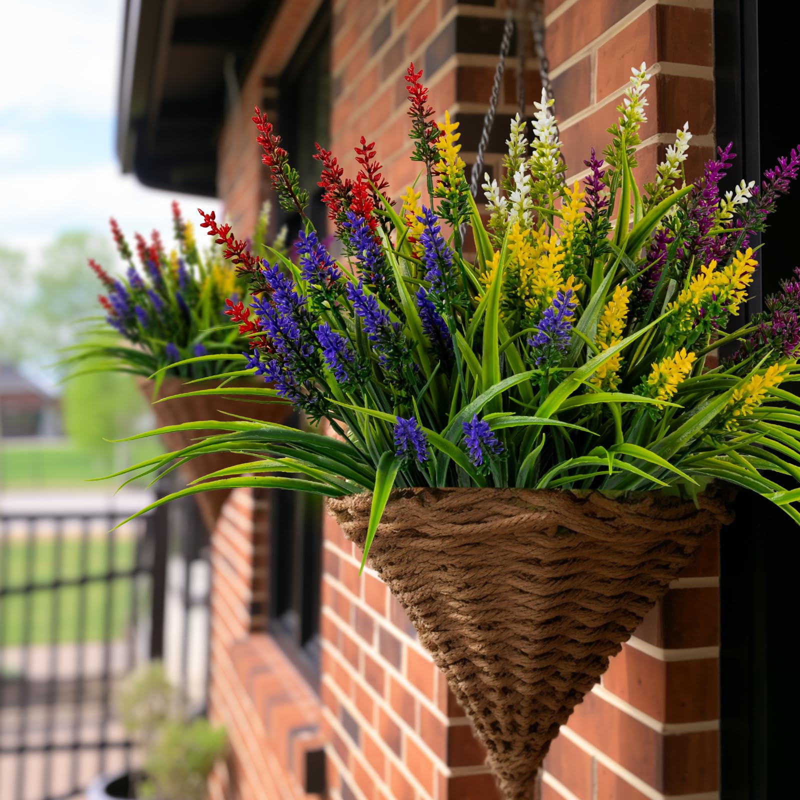 Nigirior patio front porch flowers stay vibrant with little care