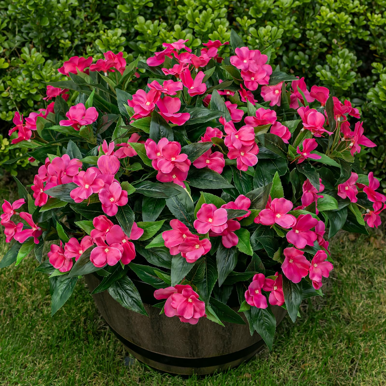 Nigirior impatiens rose red outdoor bundle enhances porch planters with lasting color.