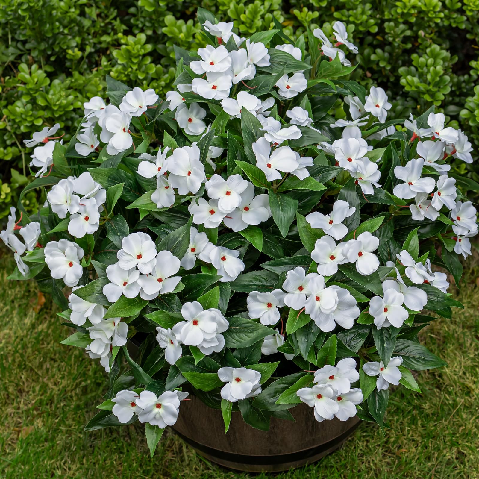 Nigirior outdoor white Impatiens in a planter, maintenance-free curb appeal.