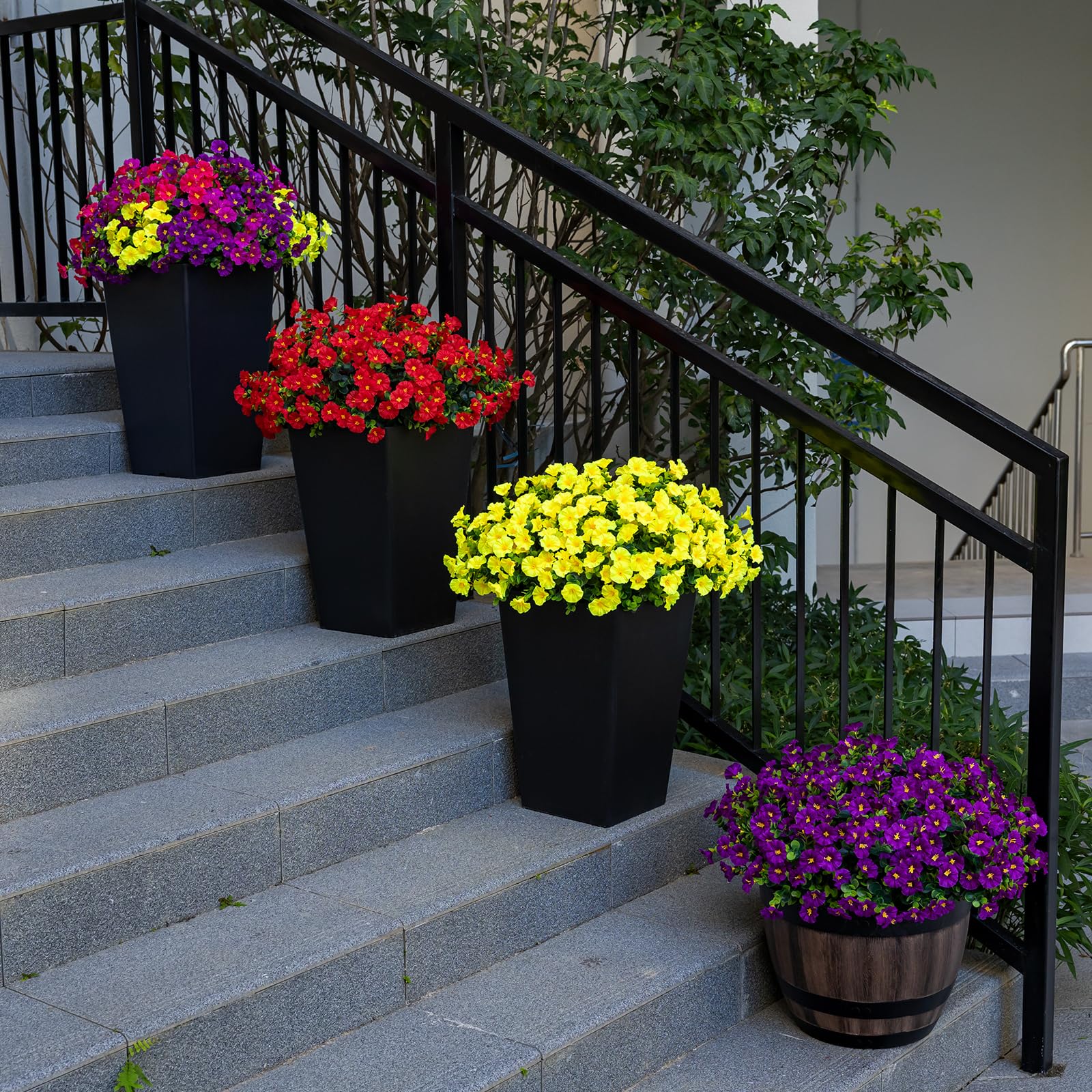 Nigirior yellow morning-glory outdoor flowers add color to sunlit porches