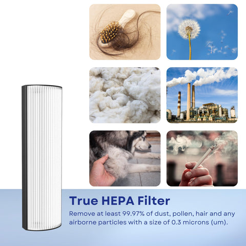 Nispira TPP440 filter installed in a Therapure purifier.
