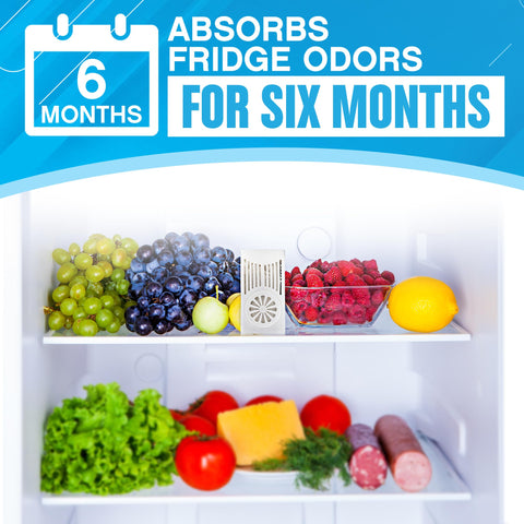 NonScents food-safe deodorizer for safe storage of refrigerated items.
