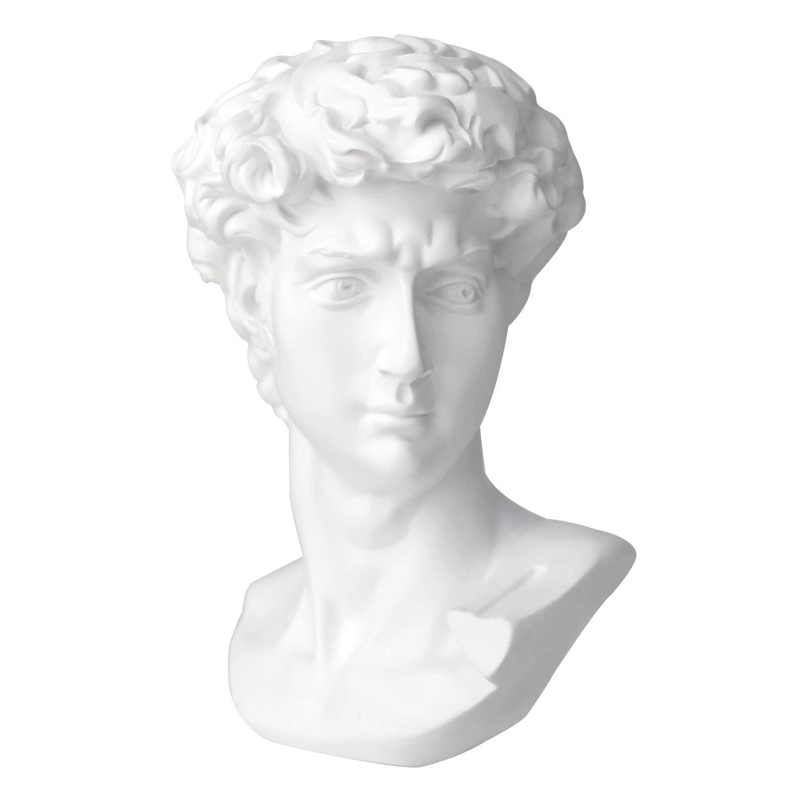 Norrclp David bust front view, versatile decor centerpiece for living rooms.