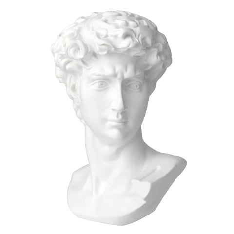 Norrclp David bust front view, versatile decor centerpiece for living rooms.