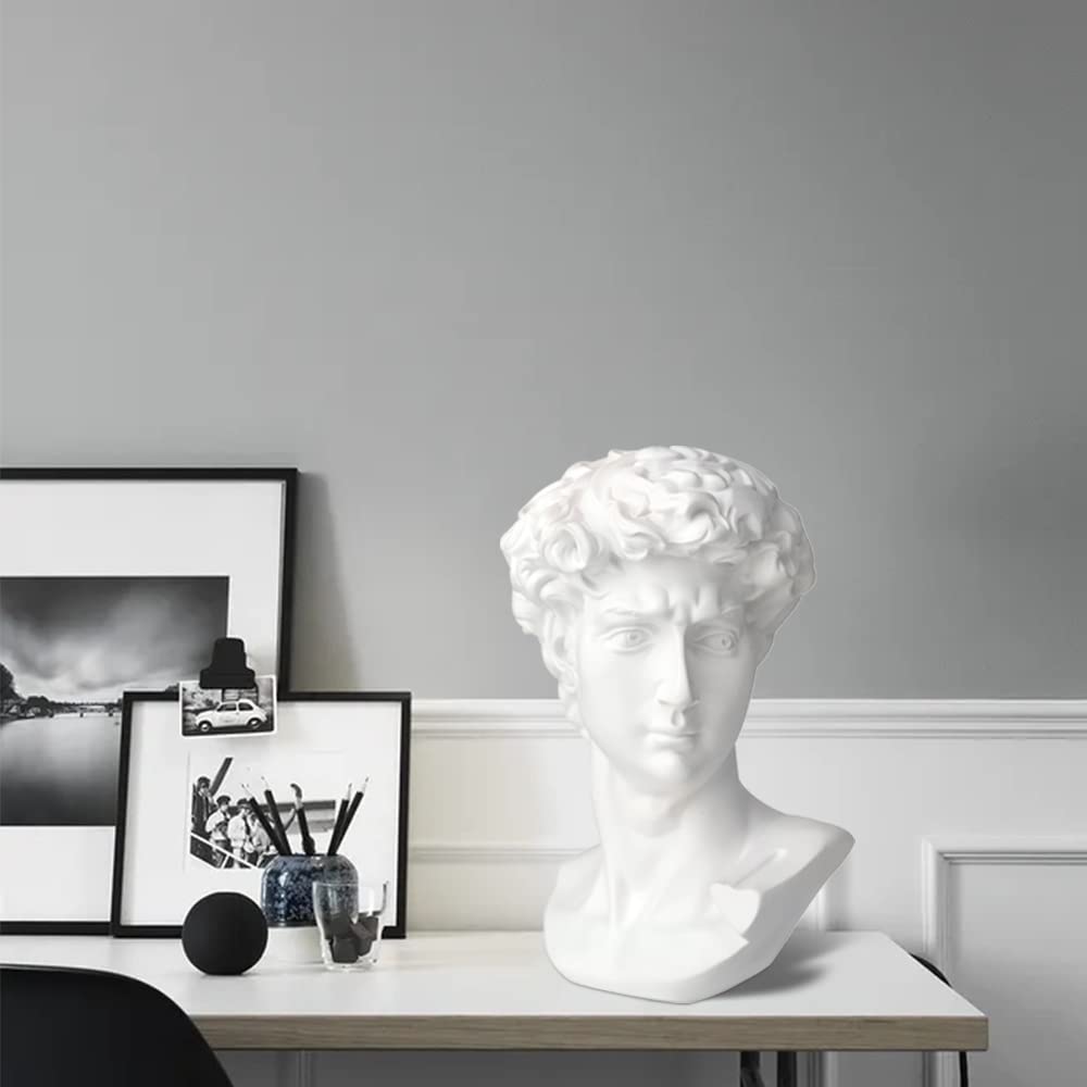 Norrclp David bust living room spot, sparks conversations and curiosity.