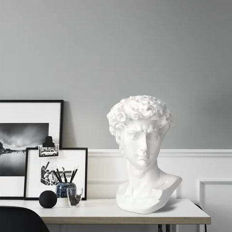 Norrclp David bust living room spot, sparks conversations and curiosity.