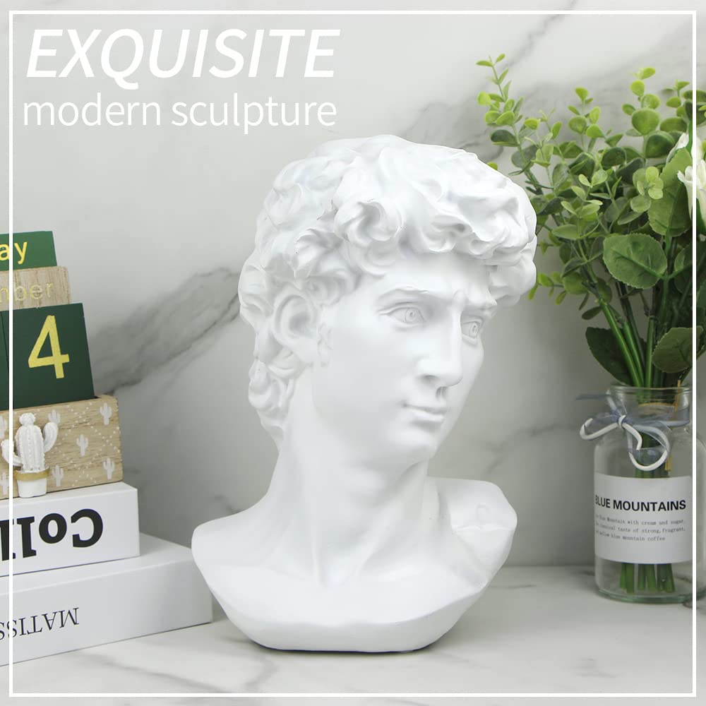 Norrclp David bust on shelf, decorative tribute to classical sculpture.