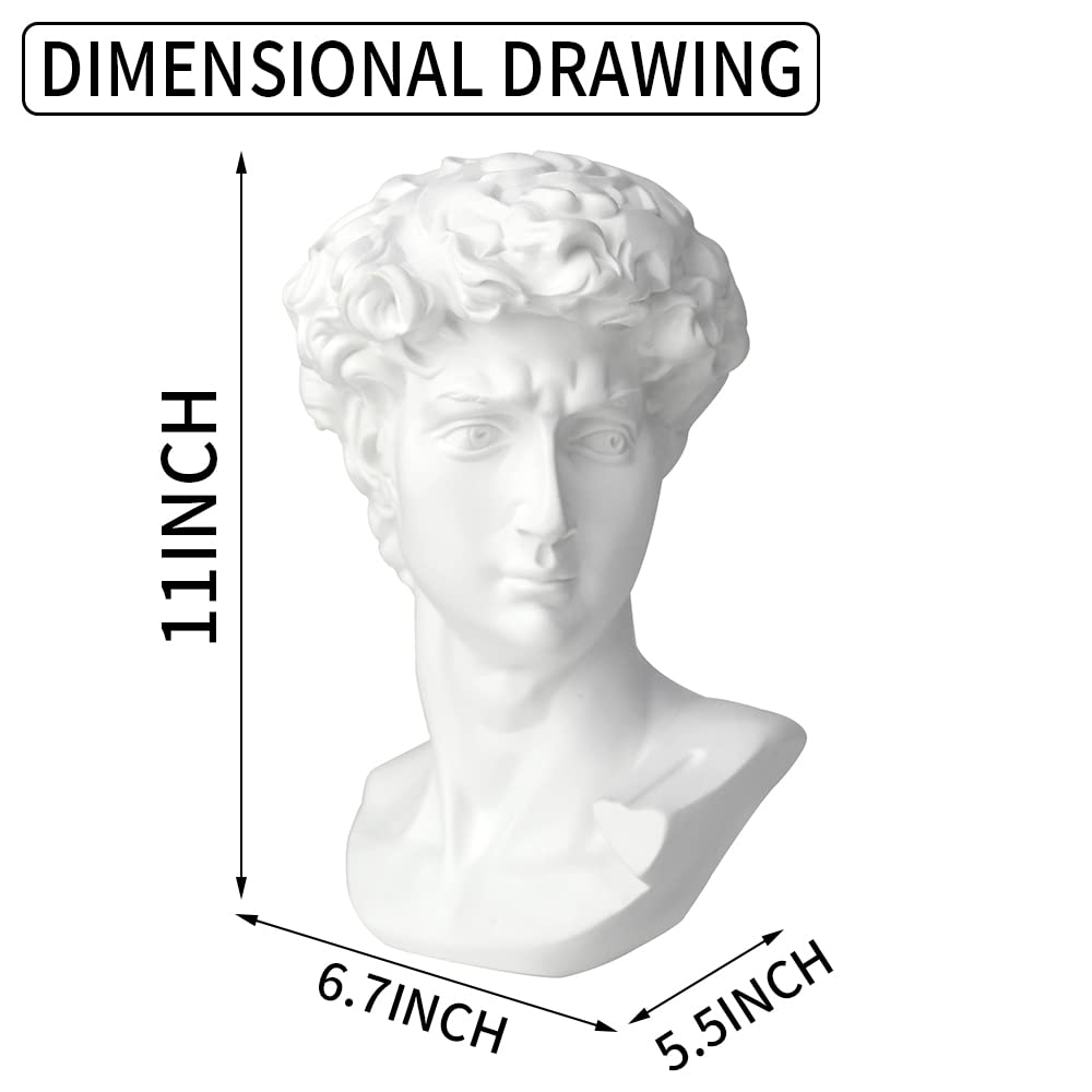 Norrclp David bust side profile, enhances shelves with Renaissance-inspired charm.