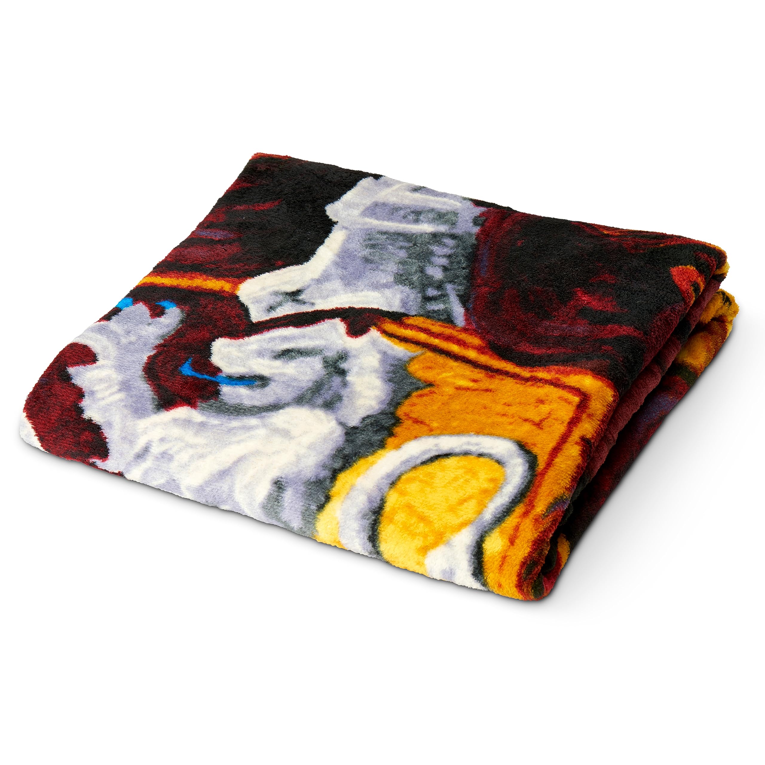 Northwest Harry Potter throw edge to edge graphic with vivid colors for vibrant decor.