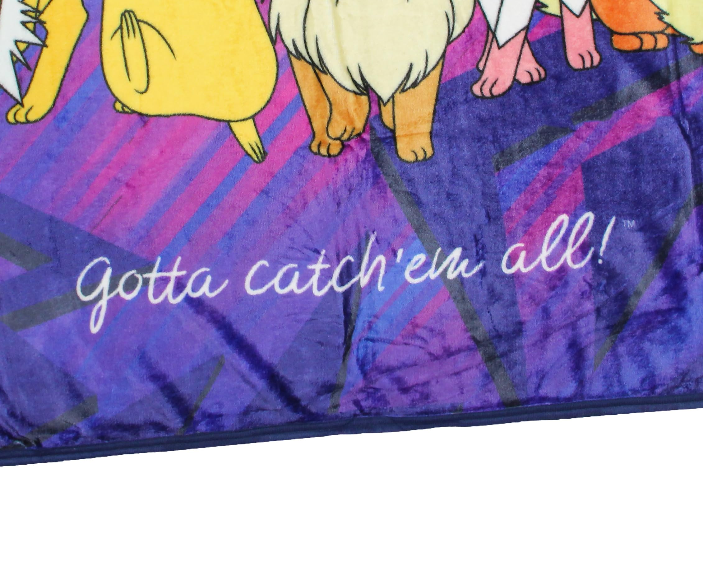 Northwest soft fleece throw close-up highlighting plush texture.
