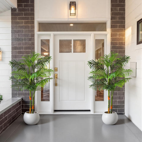 NOVAROOT palm tree trunks and lush fronds create a tropical focal point