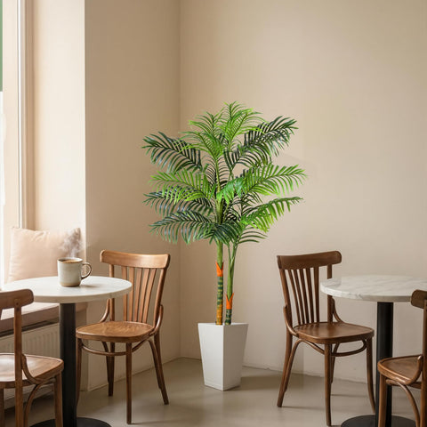 NOVAROOT double-trunk palm tree provides lush, layered greenery