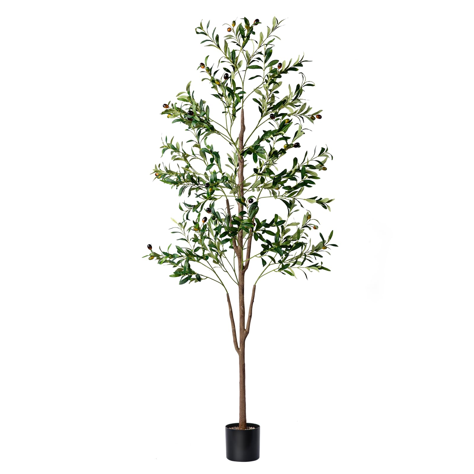 NOVAROOT Olive Tree 6ft tall in planter for living room decor.