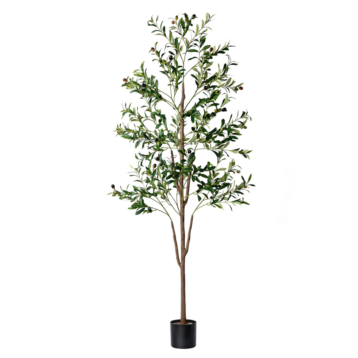 NOVAROOT Olive Tree 6ft tall in planter for living room decor.