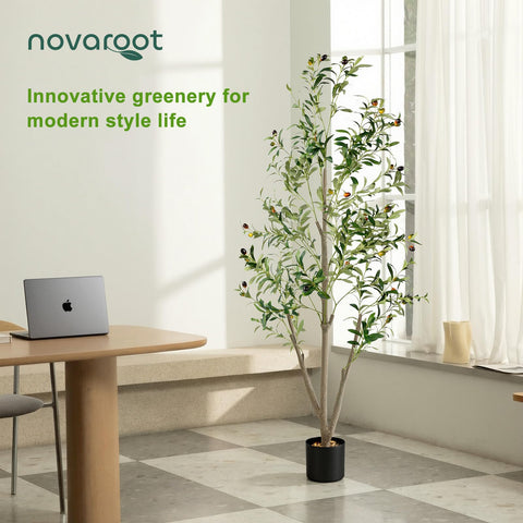 All-in-one NOVAROOT decor set ready to install