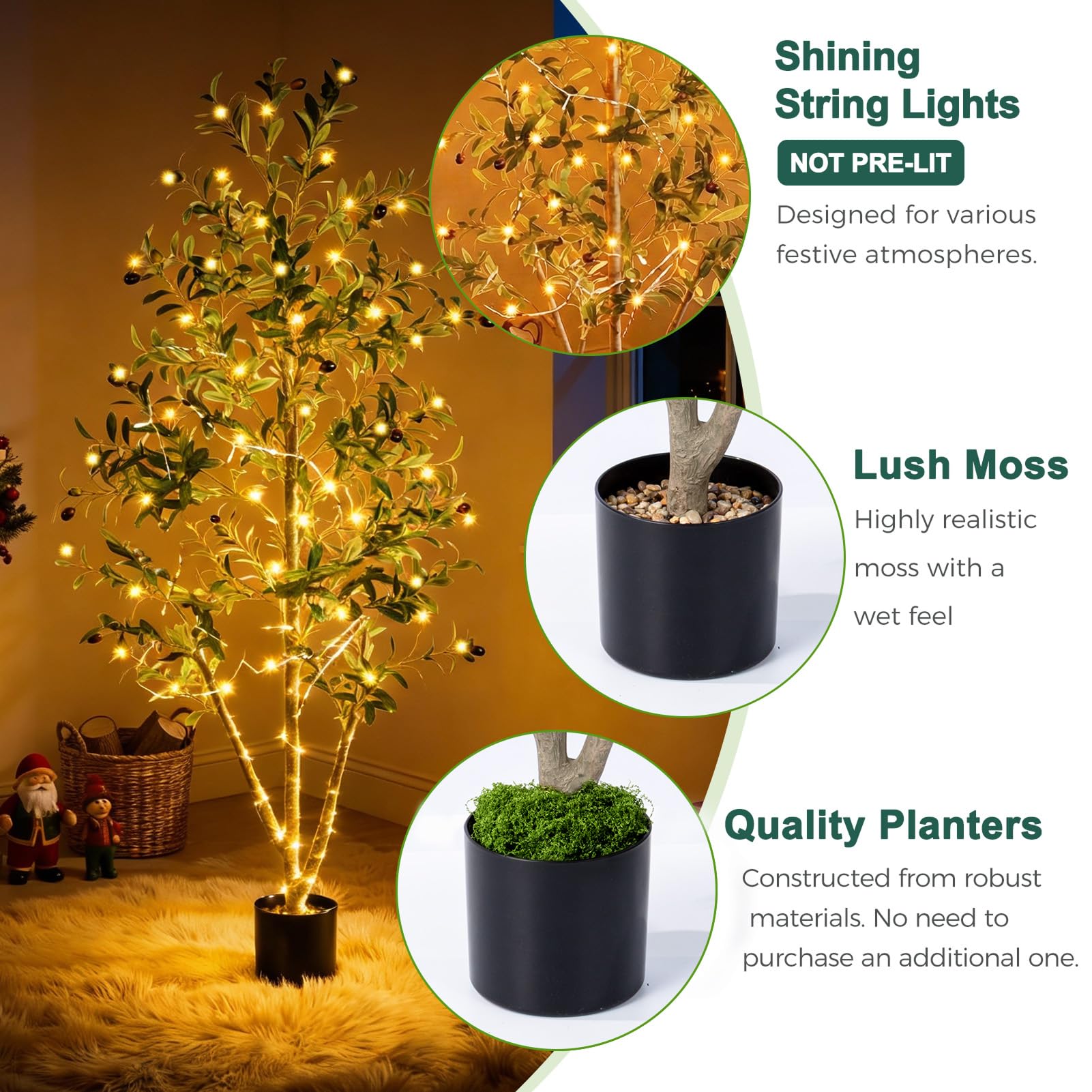 Sturdy black planter for NOVAROOT olive tree stability