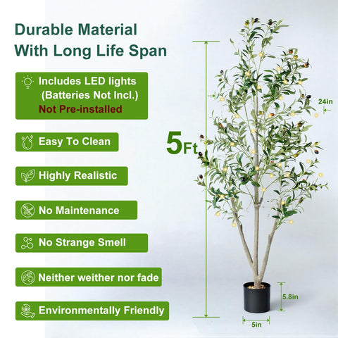 Adjustable NOVAROOT olive tree branches for fuller indoor display