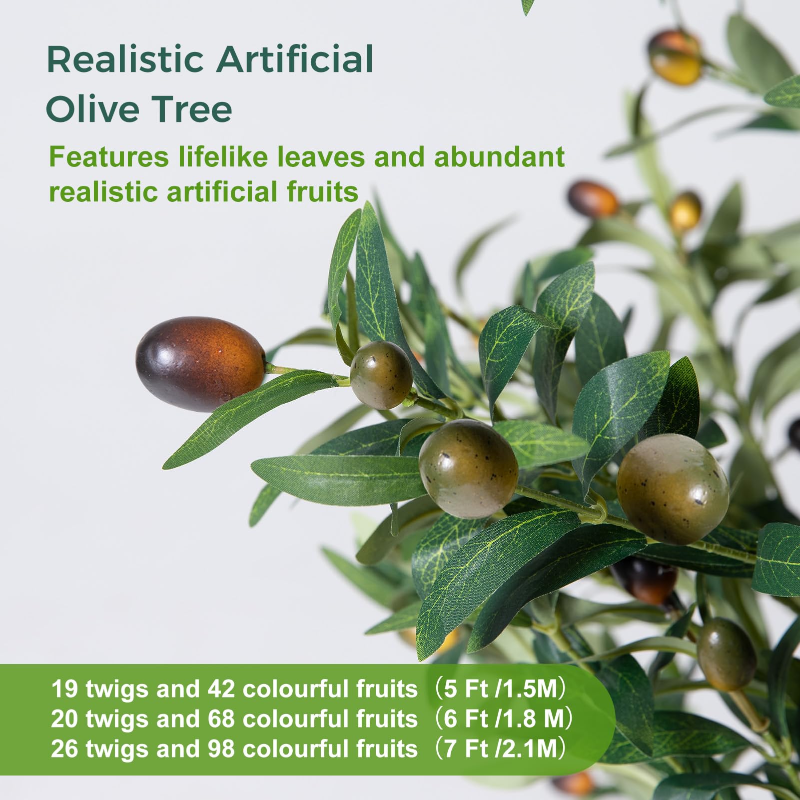 NOVAROOT olive tree with fairy lights providing a gentle glow