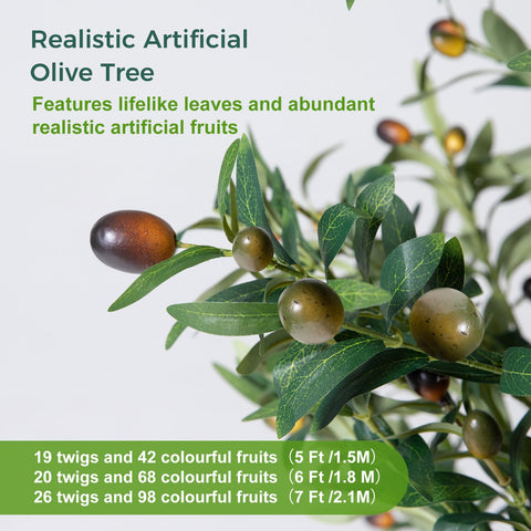 NOVAROOT olive tree with fairy lights providing a gentle glow