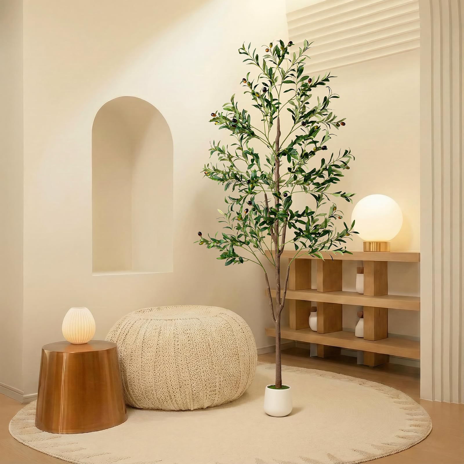 NOVAROOT Olive Tree ideal living room decor spot.