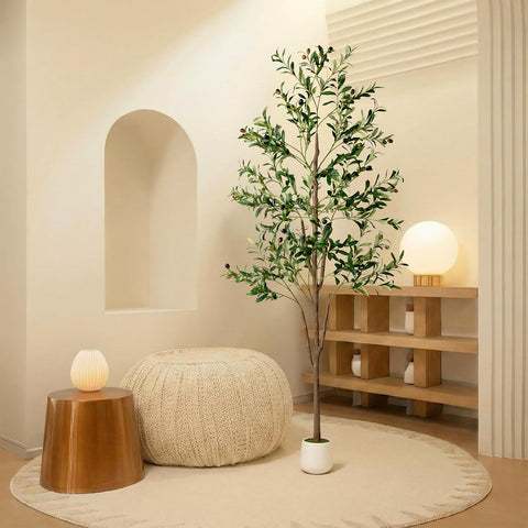 NOVAROOT Olive Tree ideal living room decor spot.