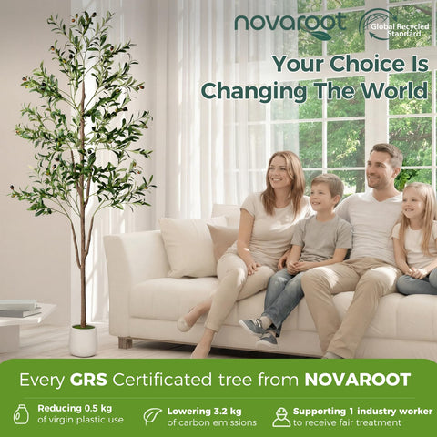 NOVAROOT Olive Tree no watering required for easy upkeep.