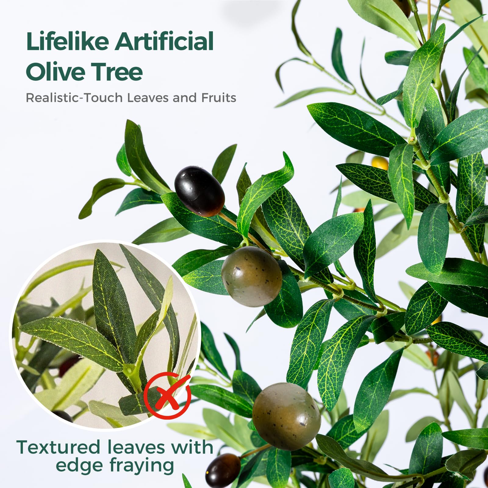 NOVAROOT Olive Tree realistic trunk detail for authentic décor.