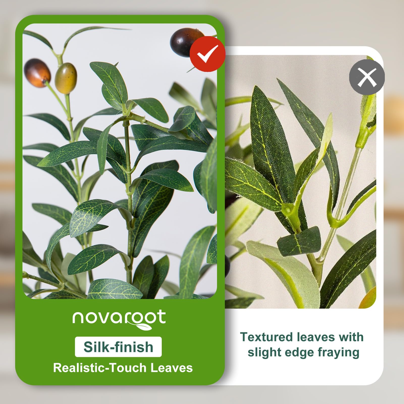 ZERO maintenance NOVAROOT olive tree suitable for homes and offices