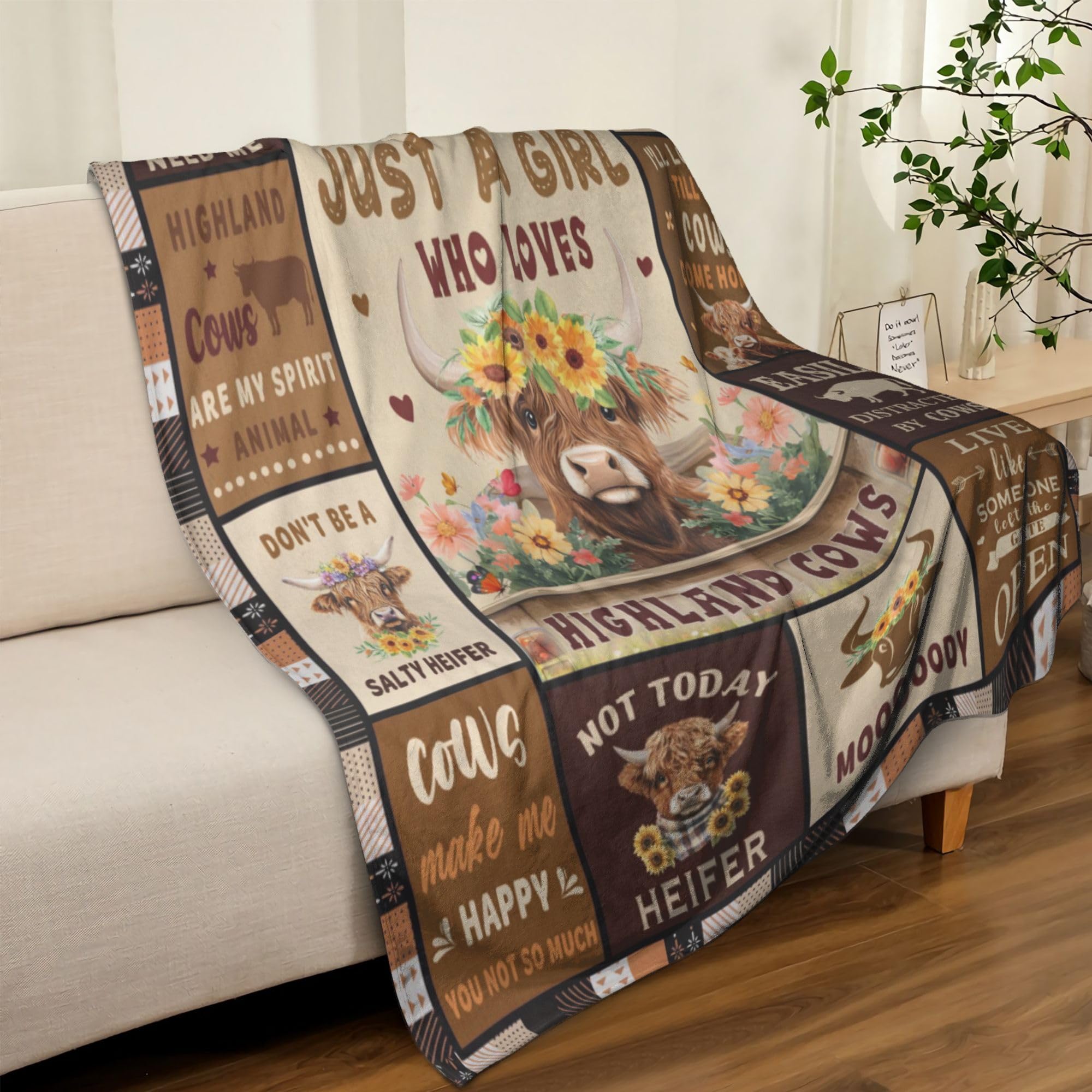 Noxkioy Highland Cow blanket on sofa offers cozy lounging for chilly evenings.