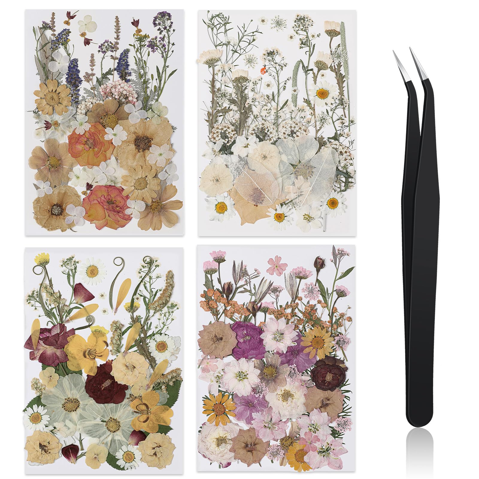 Nuanchu 200 Pcs pressed flowers pack for DIY crafts and resin projects.