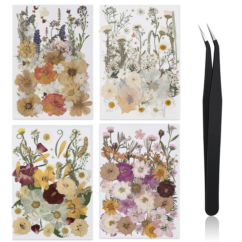 Nuanchu 200 Pcs pressed flowers pack for DIY crafts and resin projects.