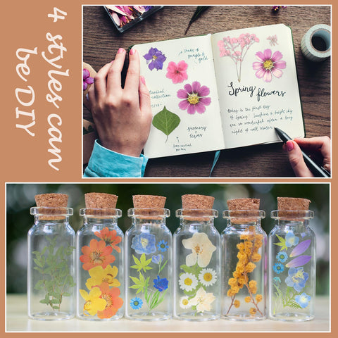 Nuanchu dried flowers inspire Christmas gift ideas and DIY projects.