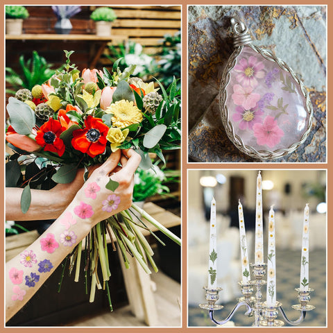 Nuanchu dried flowers ideal for resin molding, scrapbooking, and gifts.