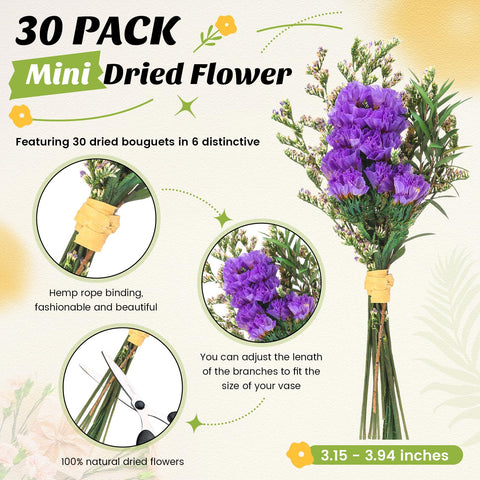 Nuanchu dried embossing flowers 30 bouquet set for crafts and DIY scrapbooks