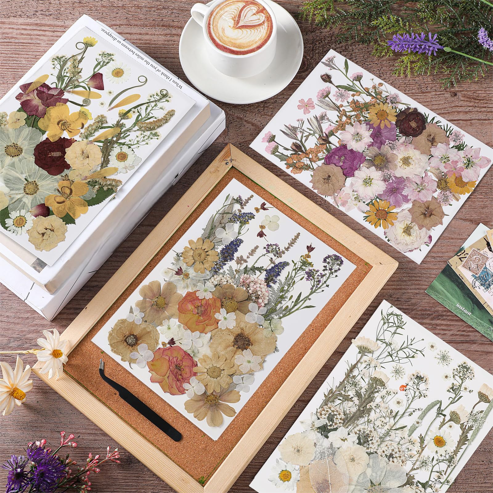 Nuanchu variety of natural dried flowers for scrapbooking and nail art.