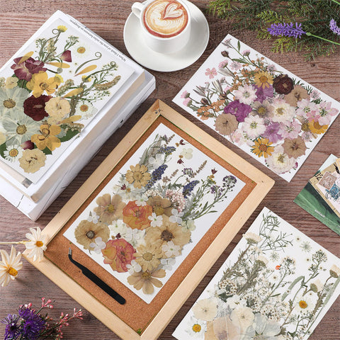 Nuanchu variety of natural dried flowers for scrapbooking and nail art.