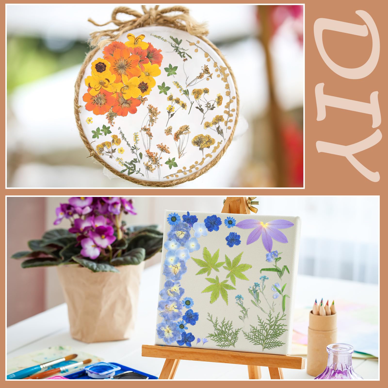 Nuanchu pressed flowers enhance stationery, bookmarks, and wedding invitations.