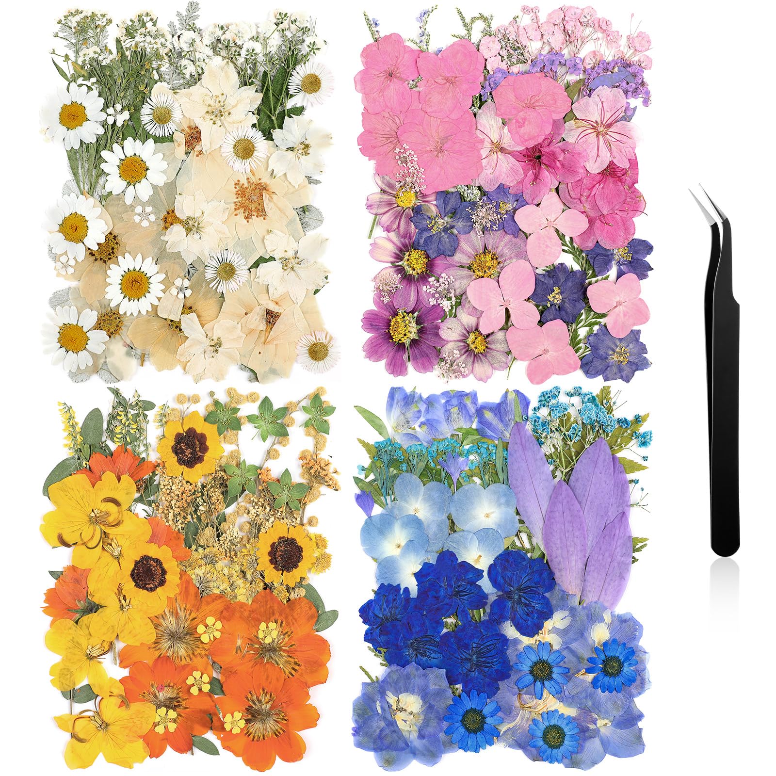 Nuanchu pressed flowers in mixed colors for versatile crafts like resin and nail art.