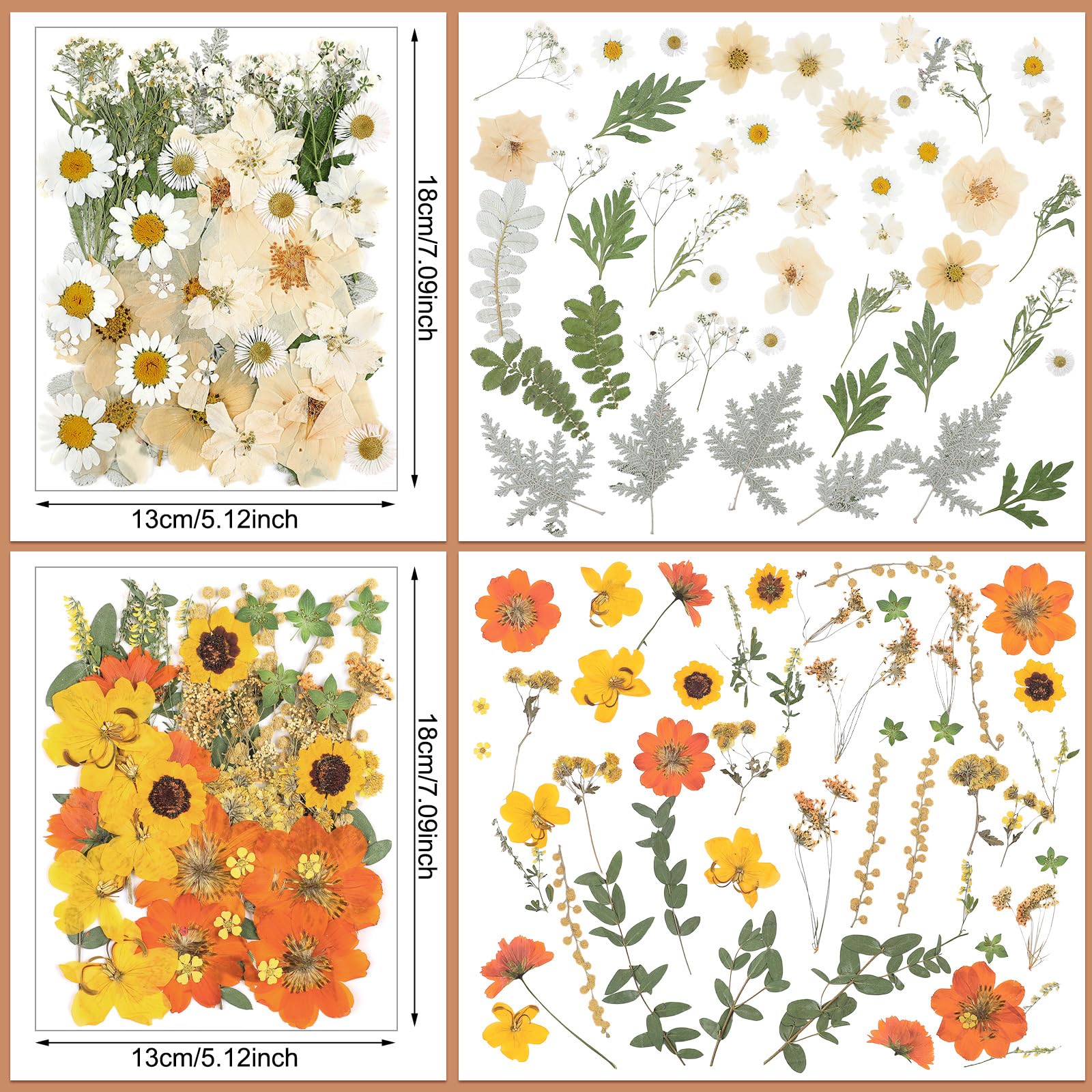Nuanchu vacuum-packaged dried flowers protect freshness during shipping.