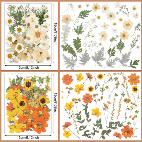 Nuanchu vacuum-packaged dried flowers protect freshness during shipping.