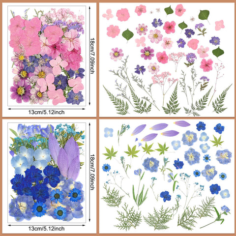 Nuanchu varied flower styles provide rich options for crafts.