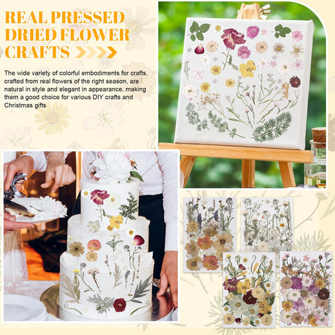 Nuanchu versatile dried flowers for a wide range of DIY gifts and decor.