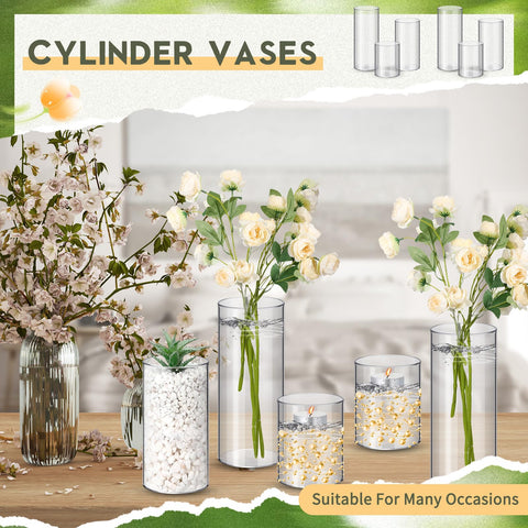 Nuogo transparent cylinder vases showing clear view of contents for modern decor.