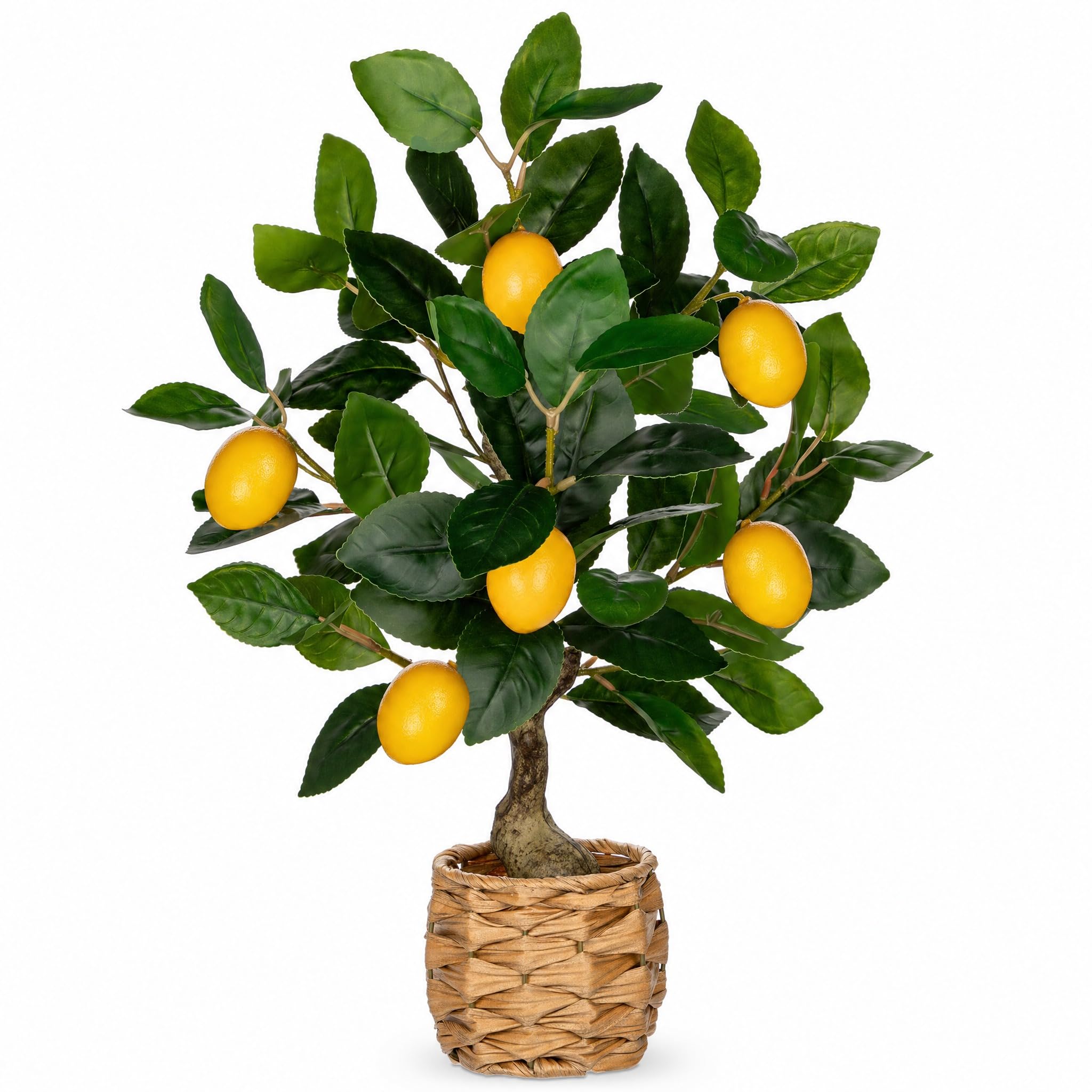 Oairse lemon tree close-up leaves for lifelike indoor decor.