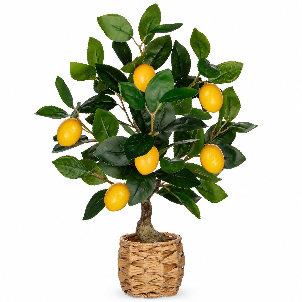 Oairse lemon tree close-up leaves for lifelike indoor decor.