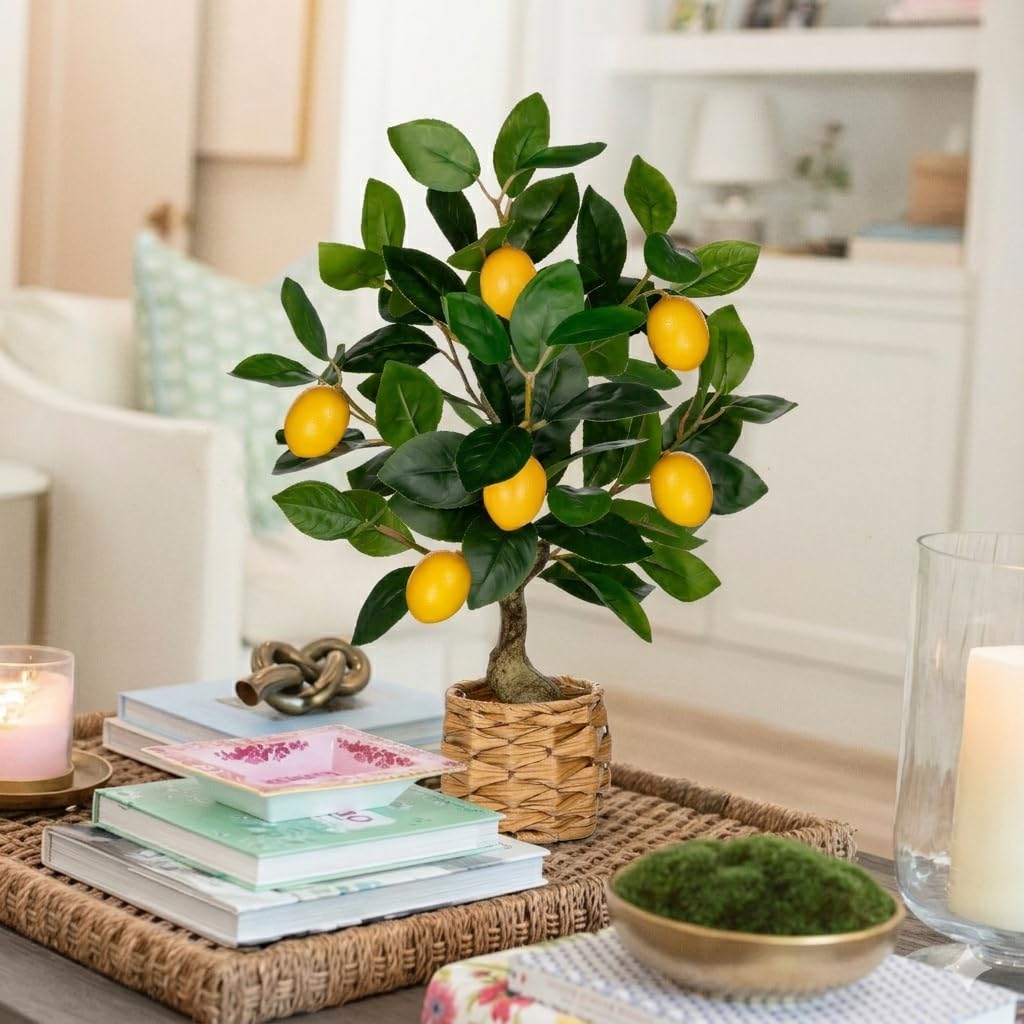 Oairse lemon tree on living room setup creates a cozy atmosphere.