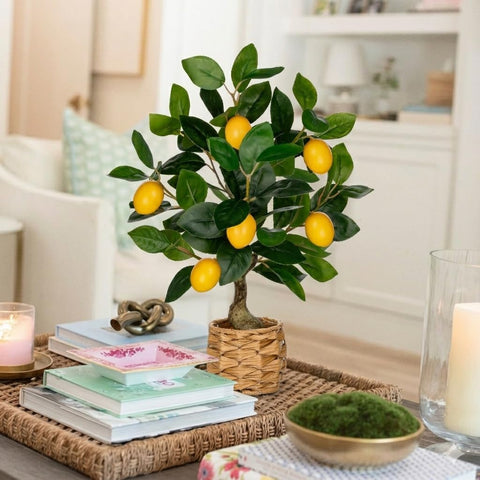 Oairse lemon tree on living room setup creates a cozy atmosphere.