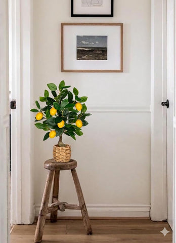 Oairse lemon tree maintenance-free stays vibrant with no watering.